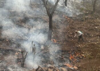 Más elementos y equipo aéreo se suman a combate de incendio forestal en Santa María