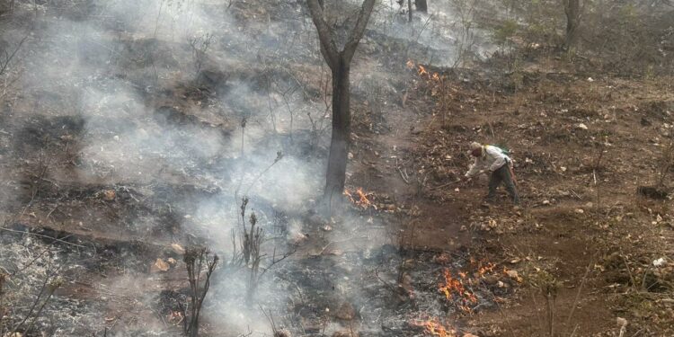 Más elementos y equipo aéreo se suman a combate de incendio forestal en Santa María