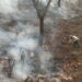 Más elementos y equipo aéreo se suman a combate de incendio forestal en Santa María