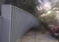 Cae árbol en la Facultad de Medicina, no se reportan lesionados