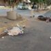 Motociclista se accidenta, y muere al derrapar