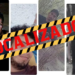 Localizan con vida a cuatro jóvenes que habían sido ‘levantados’ en Lagos de Moreno