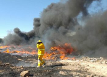 VIDEO: Mayoría de incendios en SLP fueron provocados, reprueba Guadalupe Torres