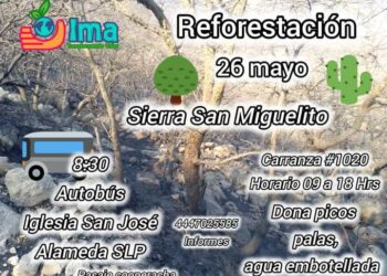 Convocan a la sociedad potosina a reforestar la Sierra de San Miguelito