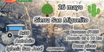 Convocan a la sociedad potosina a reforestar la Sierra de San Miguelito