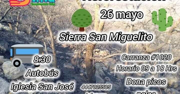 Convocan a la sociedad potosina a reforestar la Sierra de San Miguelito