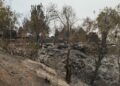 VIDEO: Pobladores de Tierra Nueva pierden su patrimonio por incendio forestal