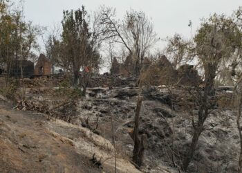 VIDEO: Pobladores de Tierra Nueva pierden su patrimonio por incendio forestal