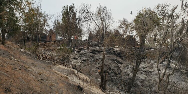 VIDEO: Pobladores de Tierra Nueva pierden su patrimonio por incendio forestal