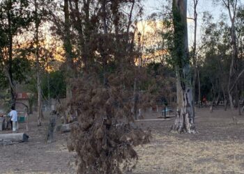 Iniciarán trabajos de rescate del Parque de Morales