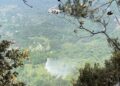 VIDEO: Controlado incendio forestal en Xilitla