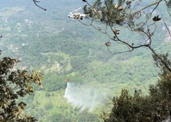 VIDEO: Controlado incendio forestal en Xilitla