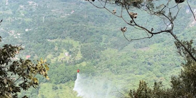 VIDEO: Controlado incendio forestal en Xilitla