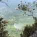 VIDEO: Controlado incendio forestal en Xilitla