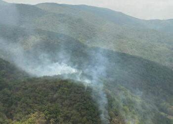 Sobrevuelan los cinco incendios forestales en SLP