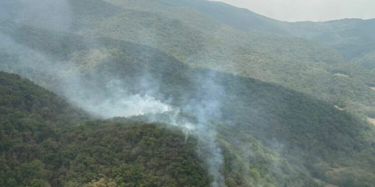 Sobrevuelan los cinco incendios forestales en SLP