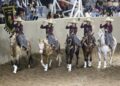 RG2 vuelve a San Luis Potosí el viernes