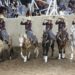 RG2 vuelve a San Luis Potosí el viernes