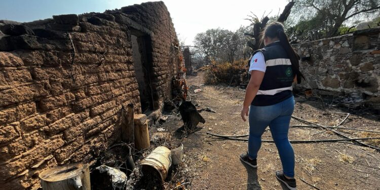 Evalúan daños por incendio forestal de Santa María del Río y Tierranueva