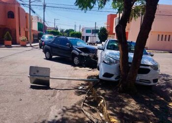 Camioneta proyecta a auto contra un árbol