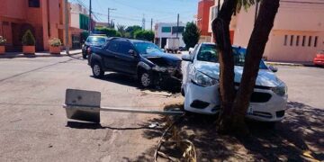 Camioneta proyecta a auto contra un árbol