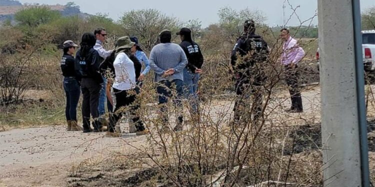 Colectivo de Madres Buscadoras de Guanajuato localizan restos humanos en fosa clandestina