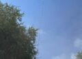 VIDEO: Se suma un nuevo incendio forestal más en SLP, ahora combaten en Guadalcázar