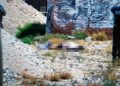 Localizan a joven asesinado a golpes