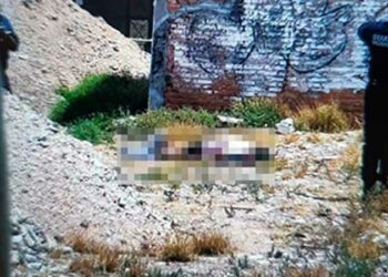 Localizan a joven asesinado a golpes