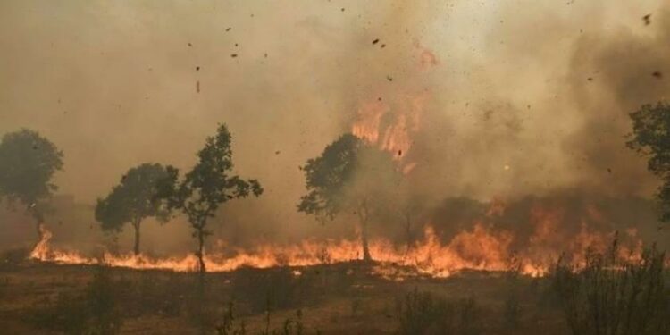 VIDEO: Piden más ayuda tras descontrol de incendio en Ciudad Valles