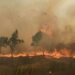 VIDEO: Piden más ayuda tras descontrol de incendio en Ciudad Valles