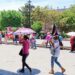 Paga SLP tala oficial con “domo de calor”