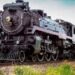 Viene a SLP locomotora de vapor