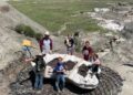 Tres niños descubren fósil de dinosaurio extremadamente raro