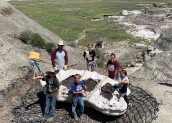 Tres niños descubren fósil de dinosaurio extremadamente raro