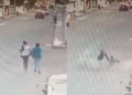 VIDEO: ¡Miedo desbloqueado! Perros ‘correcaminos’ atropellan a dos mujeres en la calle