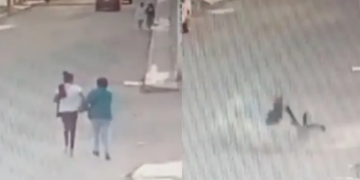 VIDEO: ¡Miedo desbloqueado! Perros ‘correcaminos’ atropellan a dos mujeres en la calle