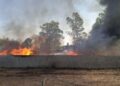 Se incendia tarimera en Villa de Pozos
