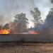 Se incendia tarimera en Villa de Pozos
