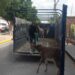 Agrupamiento de la Policía Montada acude a rescate de una burrita y su cría heridas por ataques de canes