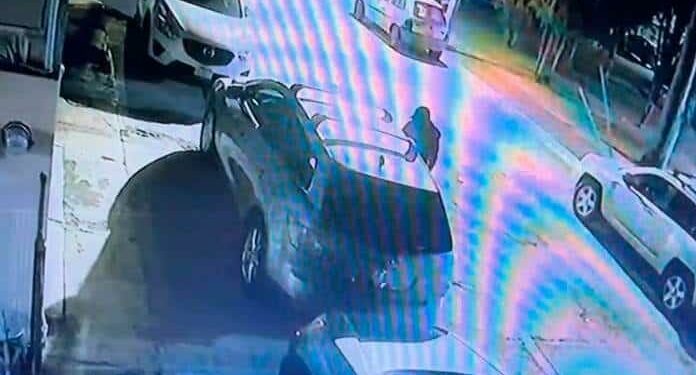“Aleteros” operan en Balcones del Valle