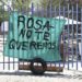 Docentes rechazan a titular del Hábitat