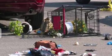Mientras su mamá guardaba las bolsas del super, niño es asesinado en el estacionamiento