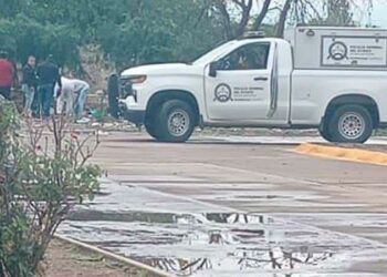Encuentran dos cuerpos maniatados en la colonia Arbolitos