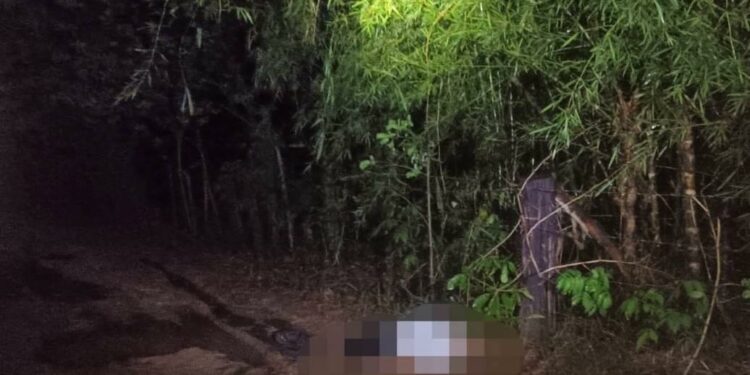 Matan a empresario restaurantero en Huehuetlán