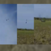 VIDEO: Cadete pierde la vida en salto fallido; su paracaídas no abrió