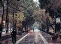 Martes parcialmente nublado en San Luis Potosí