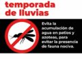 Gobierno Estatal emite medidas sanitarias por plaga de moscas
