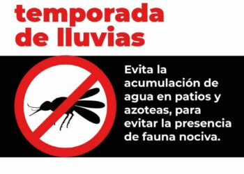 Gobierno Estatal emite medidas sanitarias por plaga de moscas