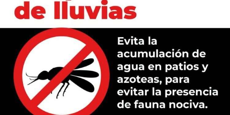 Gobierno Estatal emite medidas sanitarias por plaga de moscas